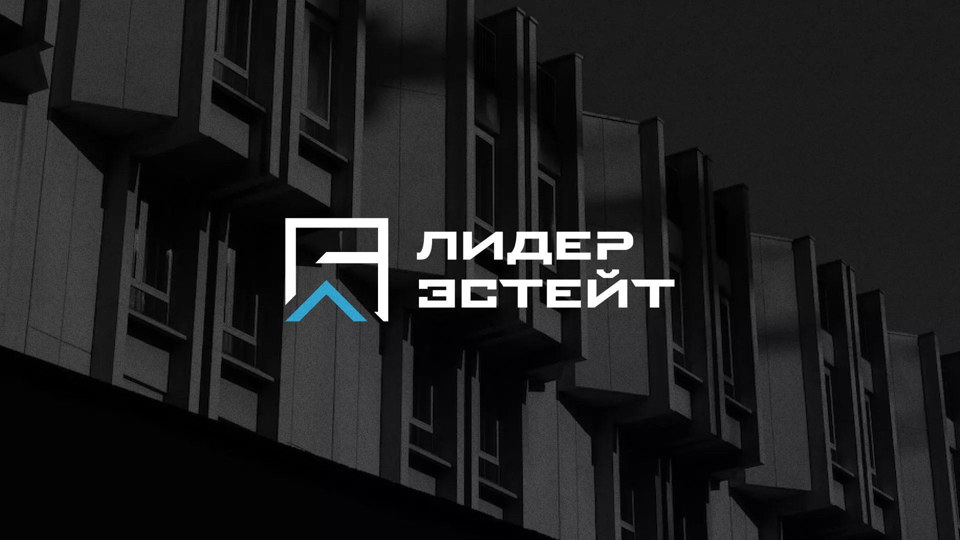 Разработка логотипа агентства недвижимости «Лидер Эстейт» в Новодвинске